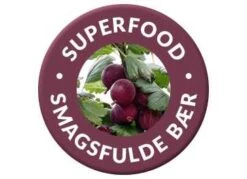 Stikkelsbær 'Hinnomaeki Rød'