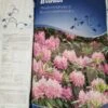Blåbær & Rhododendron Jord 40 Ltr. -LivsSpire Salgsbutik 20190608 145047