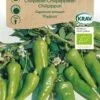 Chilipeber `Padron`, økologisk -LivsSpire Salgsbutik 7973