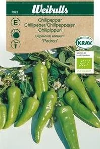 Chilipeber `Padron`, økologisk