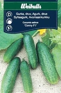 Agurk, Drue