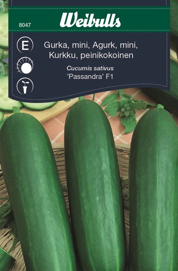 Agurk Mini 3 Agurk Mini