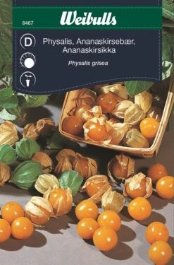 ANANASKIRSEBÆR