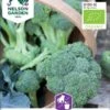 Broccoli øko -LivsSpire Salgsbutik 85079