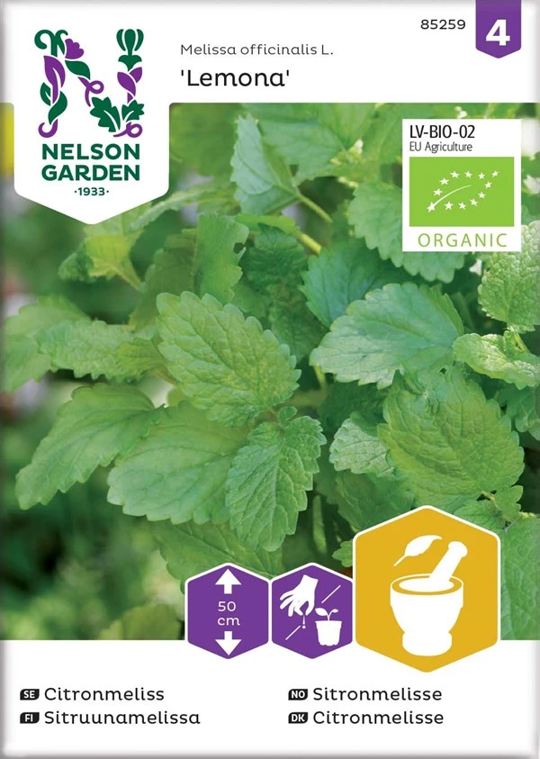 Citronmelisse 3 Citronmelisse