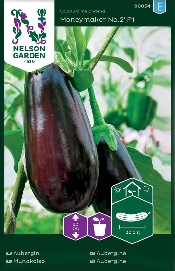 Aubergine 3 Aubergine