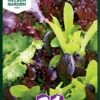 Salat, Baby Leaf -LivsSpire Salgsbutik 91210