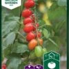 Tomat, Kirsebær-, Vespolino F1 -LivsSpire Salgsbutik 91715