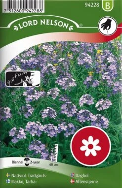 Almindelig Aftenstjerne