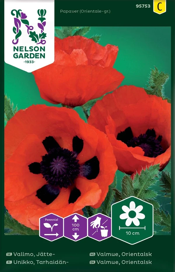 Orientalsk Valmue 3 Orientalsk Valmue