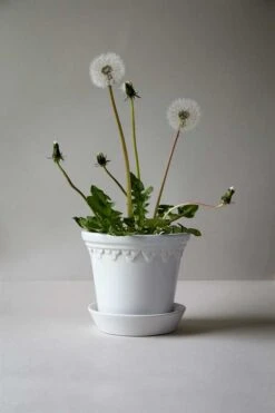 Københavner Potte, Mineral White, Inkl. Underskål