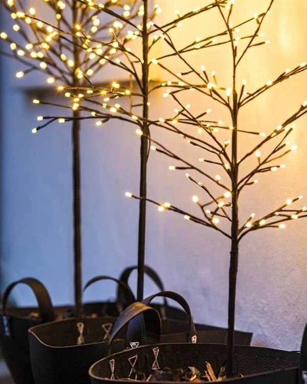 Noah Træ Sirius 3 Noah Træ Sirius