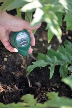 Fugtighedsmåler Til Jord Og Planter