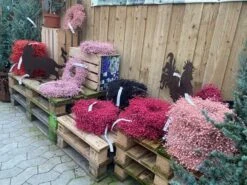 Hørkranse Flere Farver