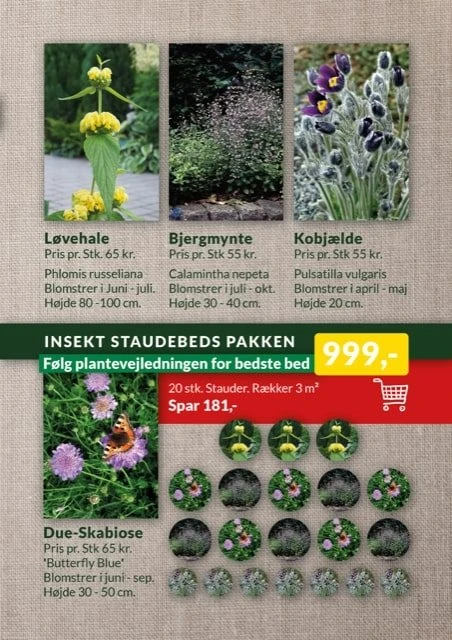 Insekt Staudepakke 3 Insekt Staudepakke