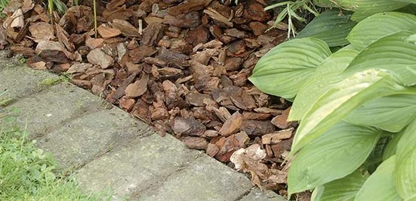 Pinjebark Fra Osmo 3 Pinjebark Fra Osmo