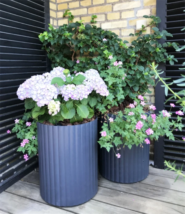 Klimakrukke M. Selvvandingsfunktion 3 Klimakrukke M. Selvvandingsfunktion